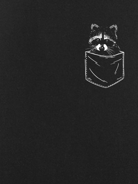 Waschbär