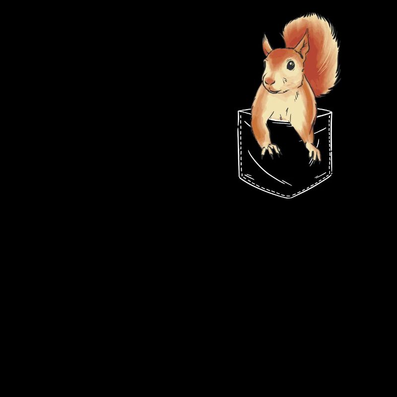 Squirrel Animal