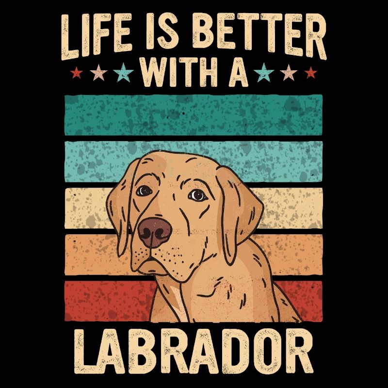 Chien Labrador