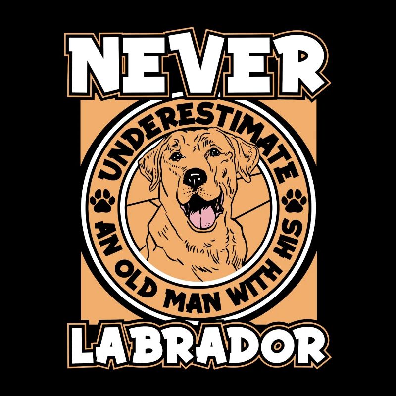 Labrador Dog