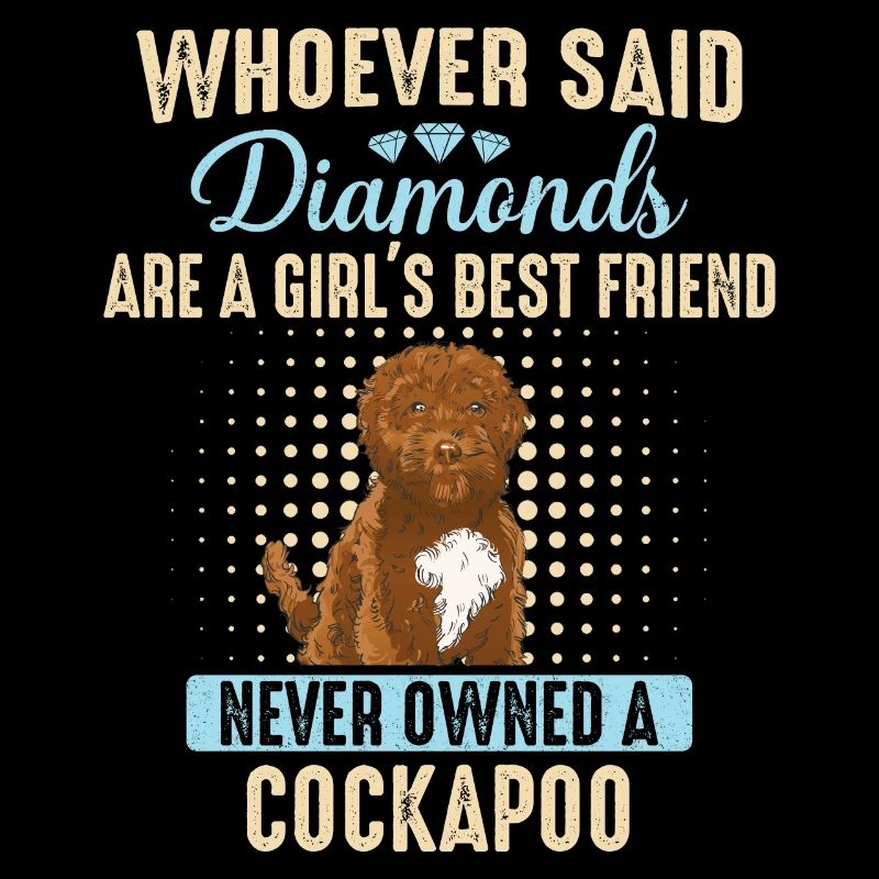 Cockapoo Hund