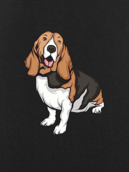 Basset Hound