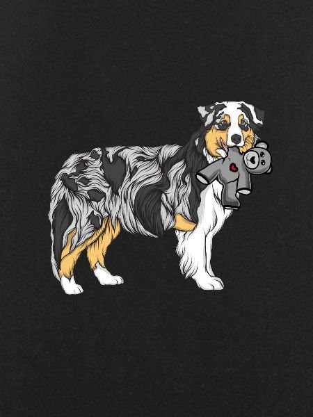 Australian Shepherd