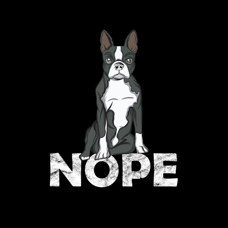 Boston Terrier