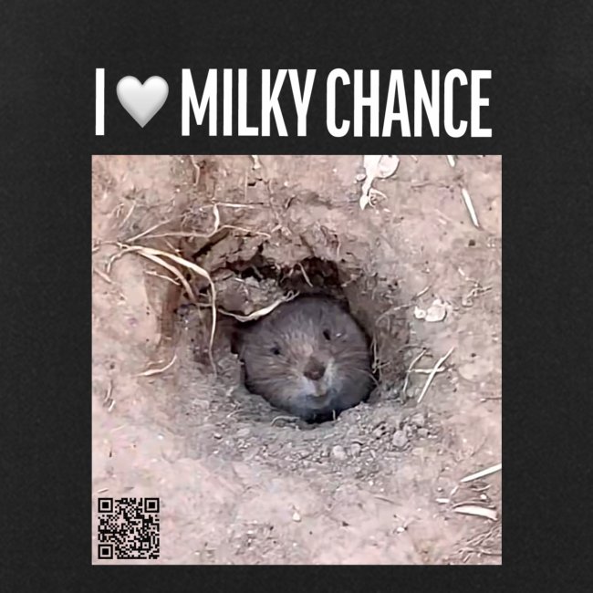 I love Milky Chance