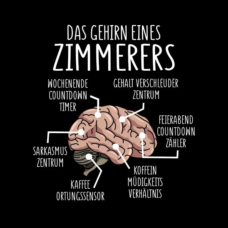 Zimmerer Anatomie Gehirn Tischler