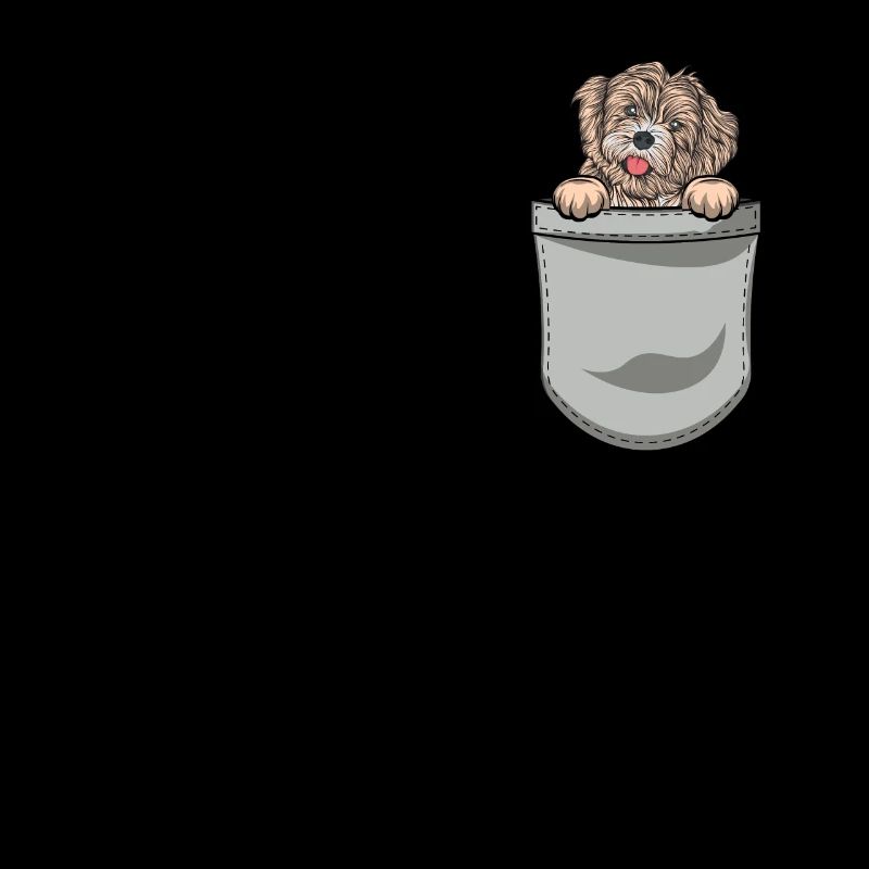 Propriétaire de chien de chien havanais