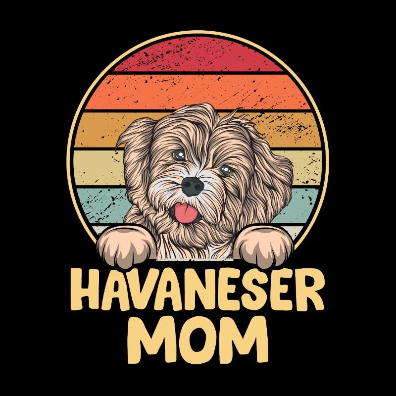 Propriétaire de chien de chien havanais