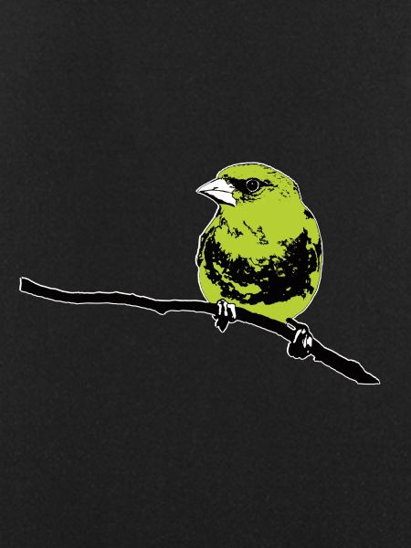 Greenfinch modern