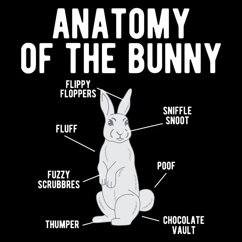 Anatomie Lapin Cadeau de vacances du dimanche de Pâques