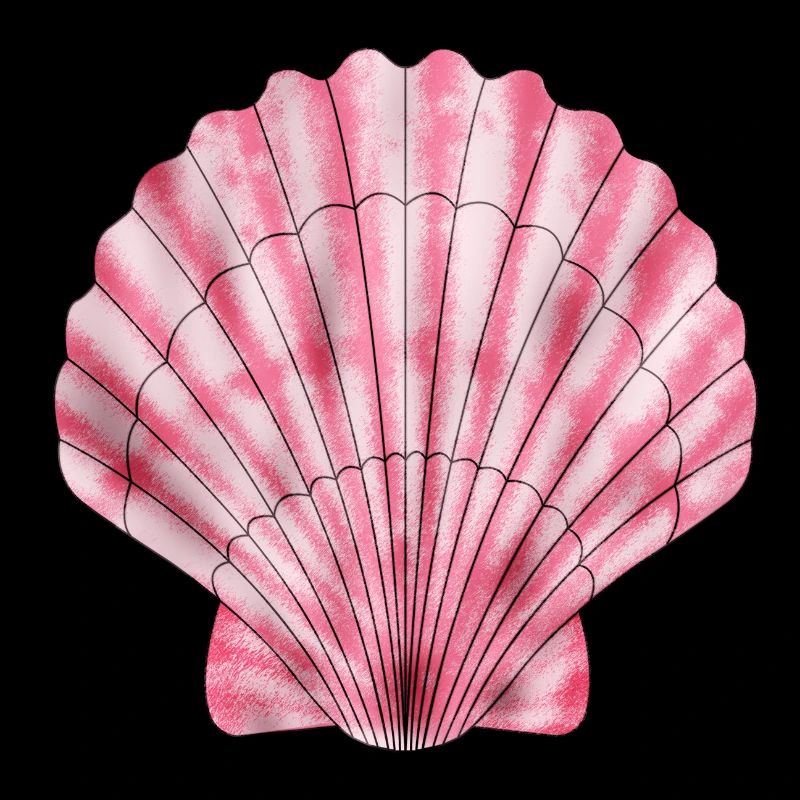 Coquille