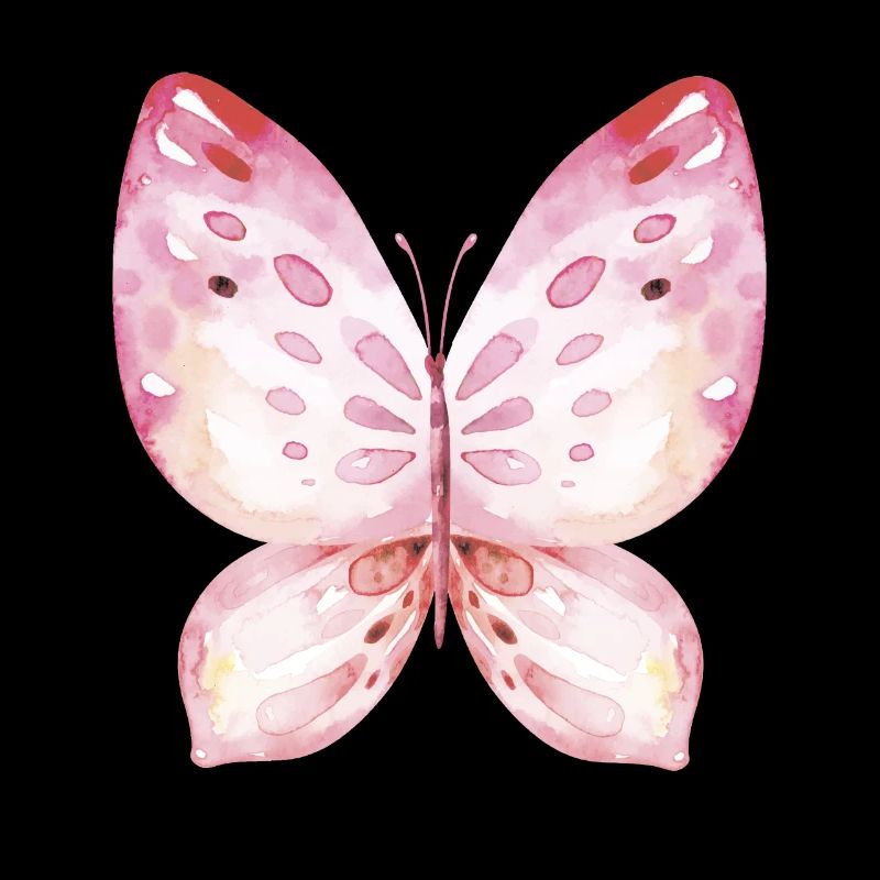 Ailes de papillon Carnaval des papillons Carnaval