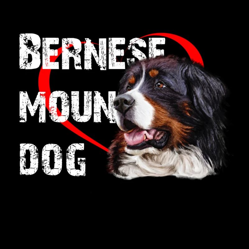 Bouvier bernois