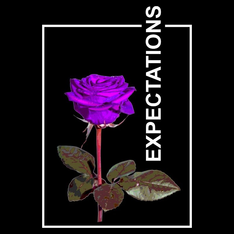 Rose Expectaions esthétique