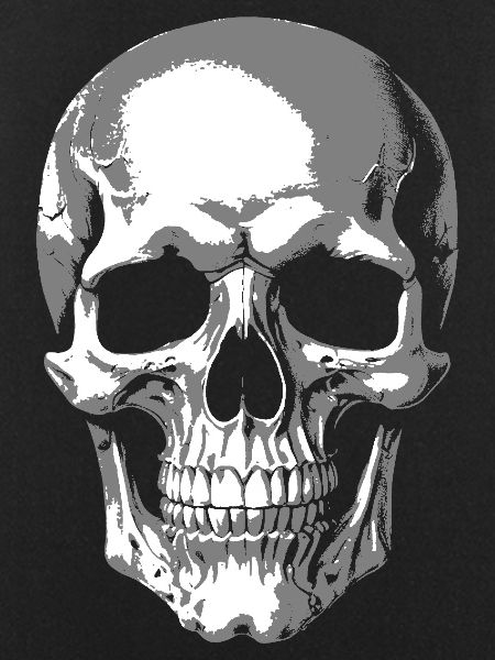Monochrome Skull Graphic