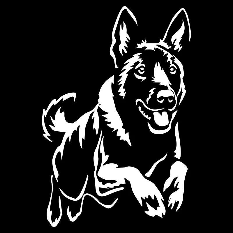 Hollandse Herder "Black Edition"