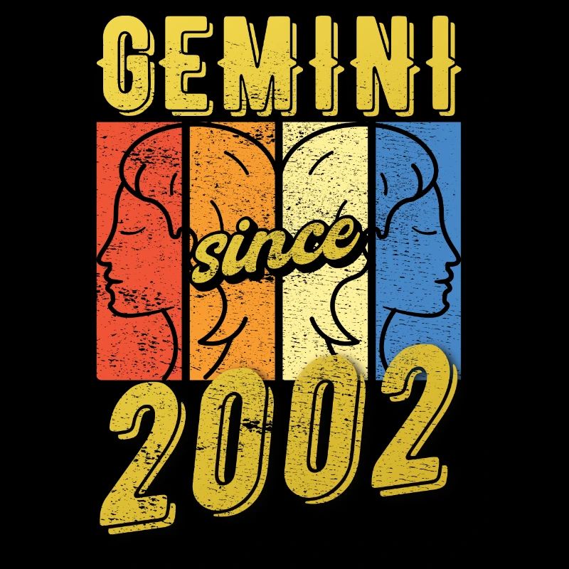 Gemini Zodiac 2002 Gift
