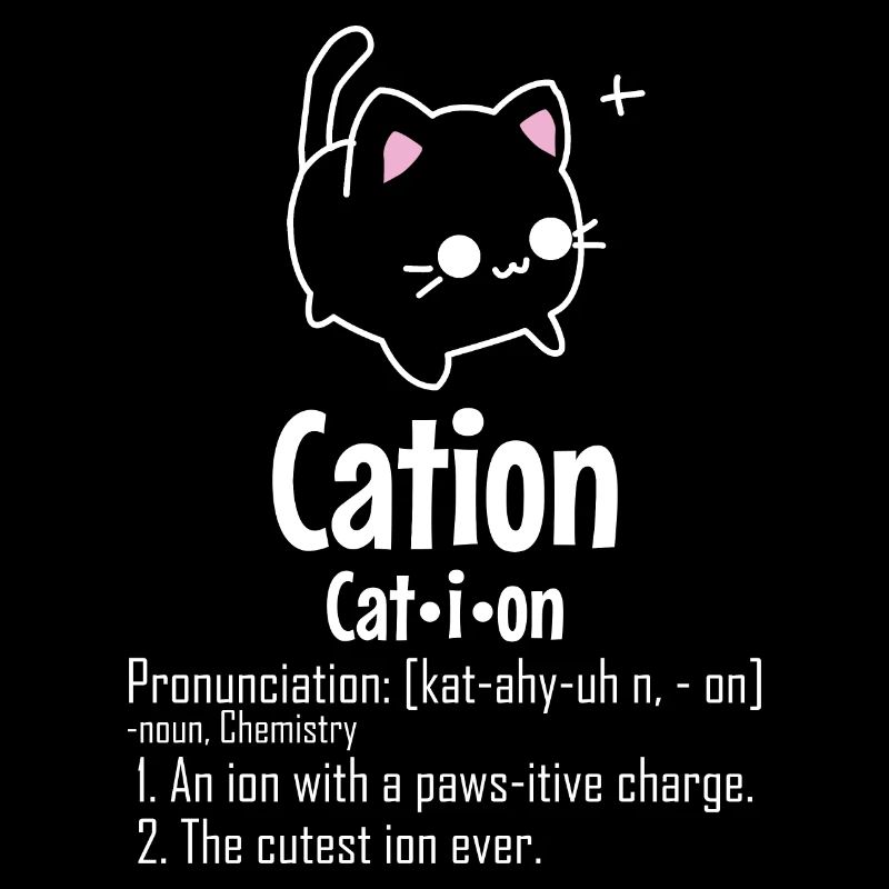 Cation Chemist Physicist Funny Gift Cat