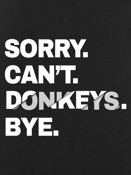 Donkey