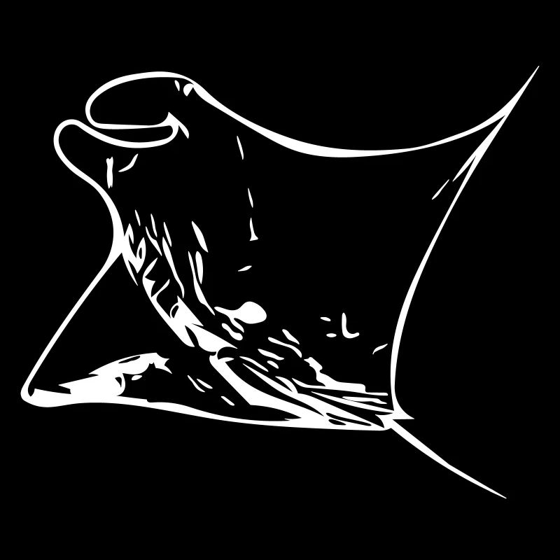 Manta Ray