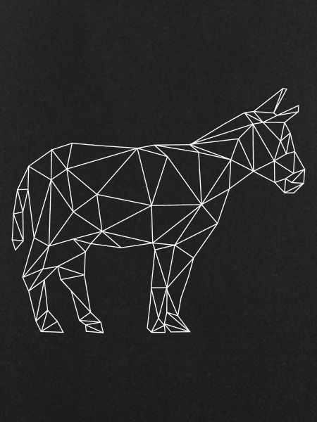 donkey