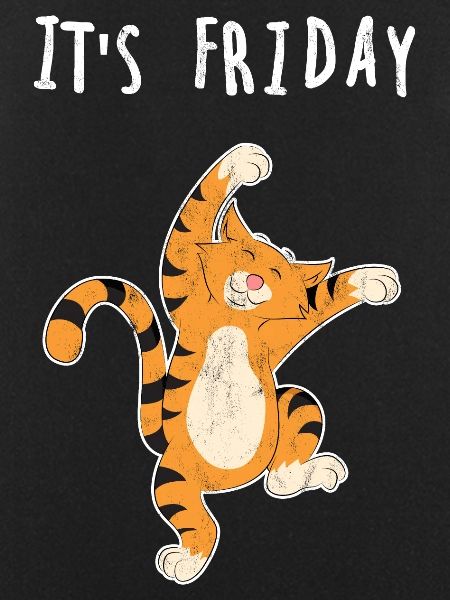 Friday cat weekend