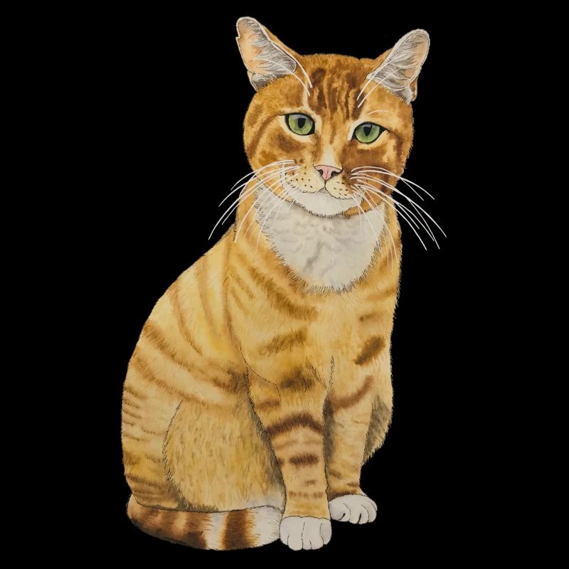 Chat rouge assis