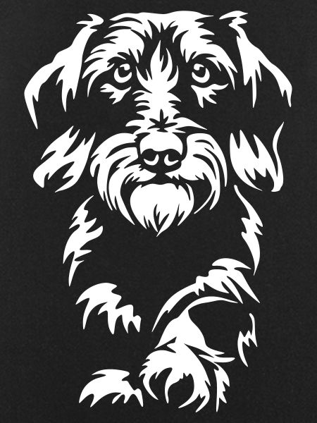 Dachshund "Black Edition"