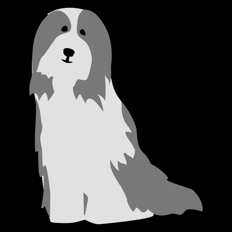 Bearded Collie