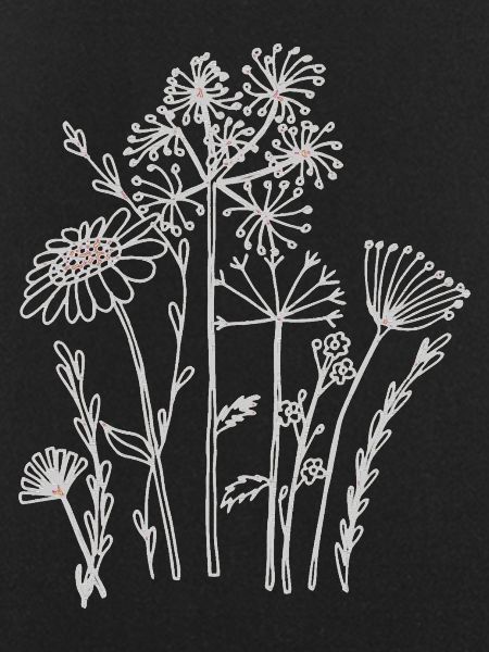 Dried flowers