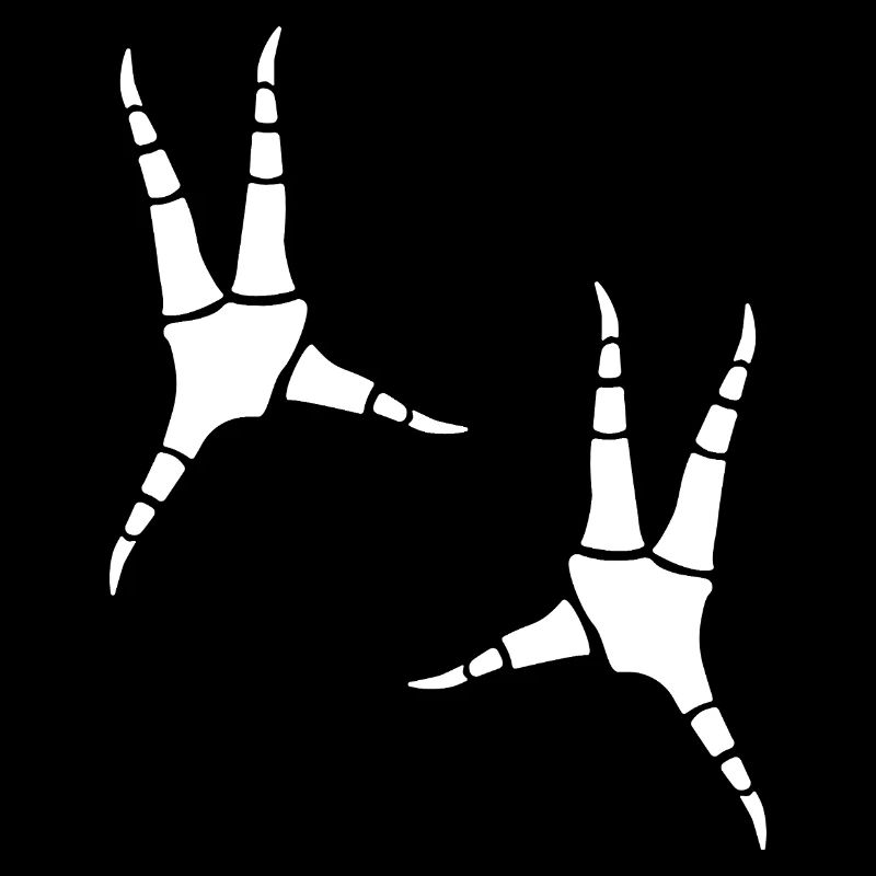 Parrot footprints
