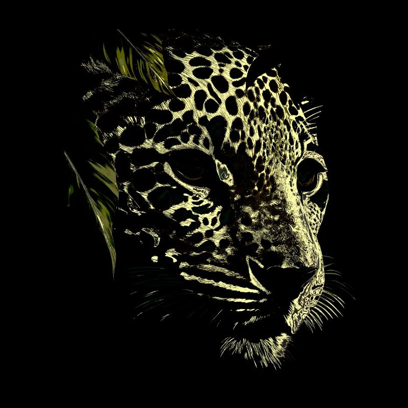 Snow leopard