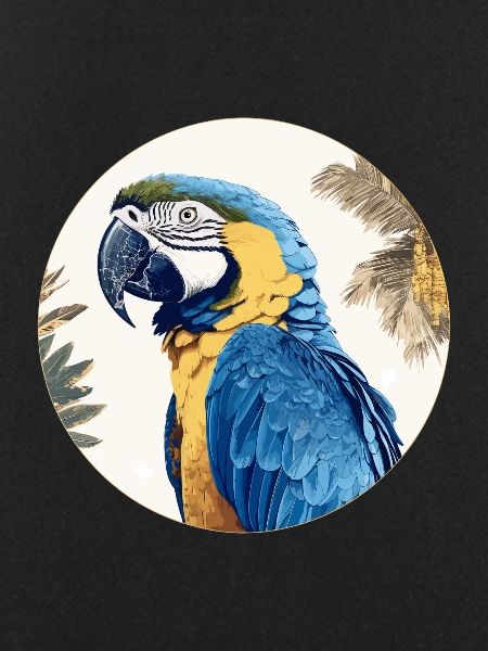 Blue and gold macaw