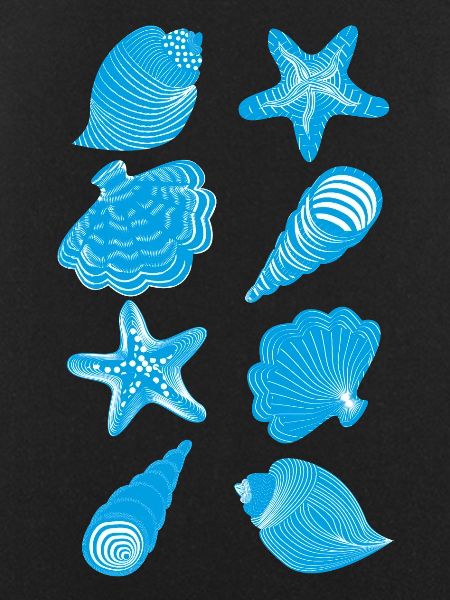 Shells and starfish