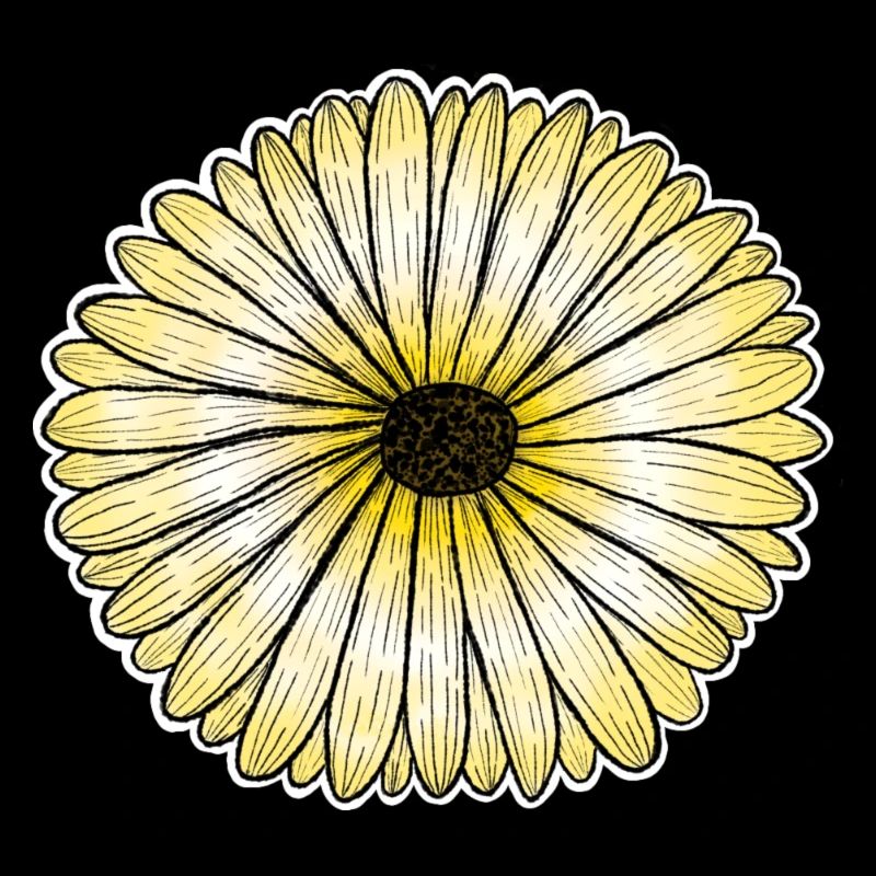 Yellow daisy