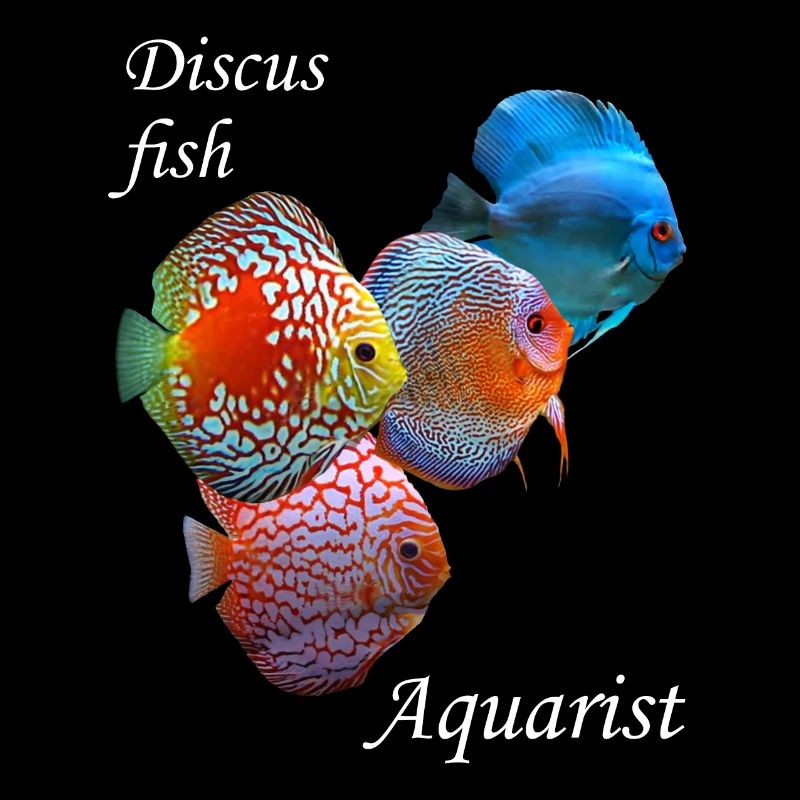 DISCUS FISH AQUARIST - VARIOUS DISCUS FISH GRAPHIC