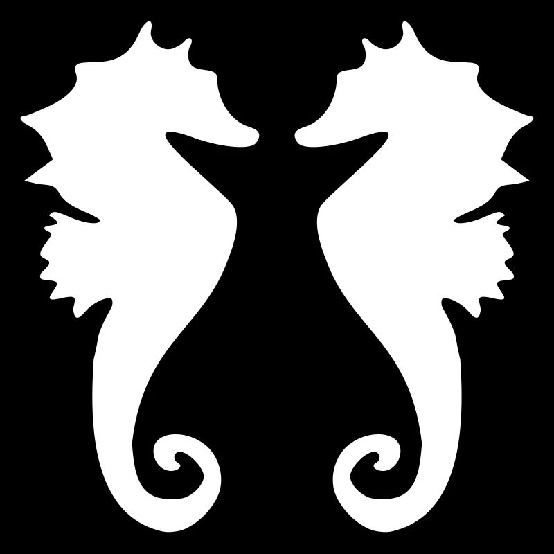 2 seepferdchen