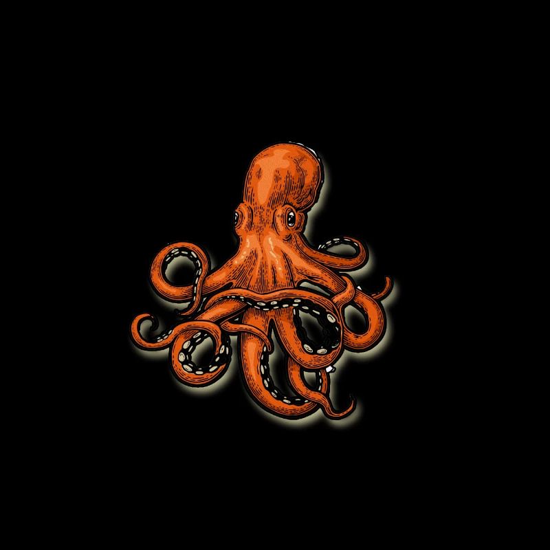 Octopus Octopoda Calmars Polyp Calamari Mer Cadeau