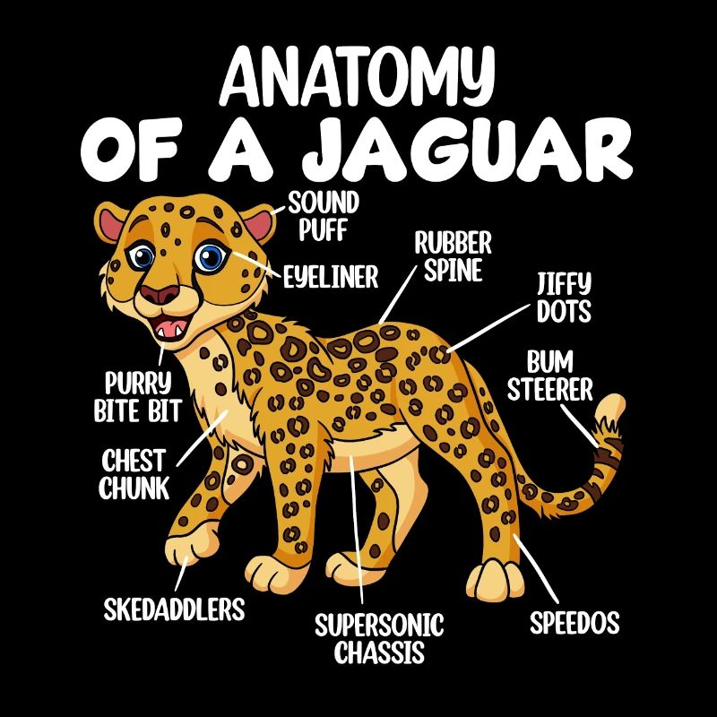 Anatomie eines Jaguars