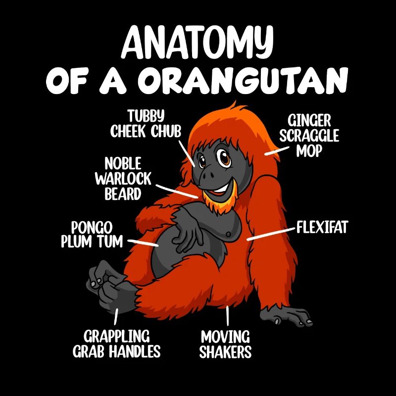 Anatomie eines Orang-Utans