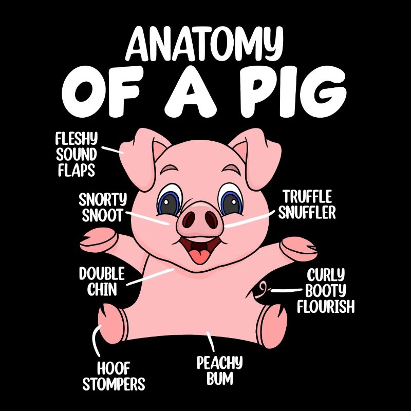 Anatomie eines Schweins
