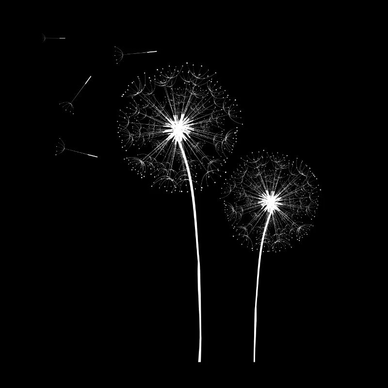 Dandelion Flowers fleurs blanches pissenlits fleurs