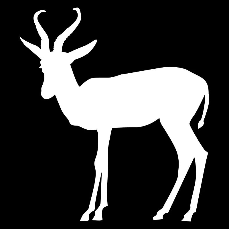 Springbok