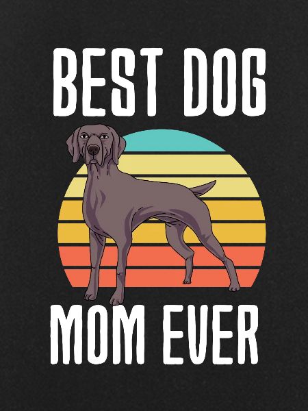 Weimaraner