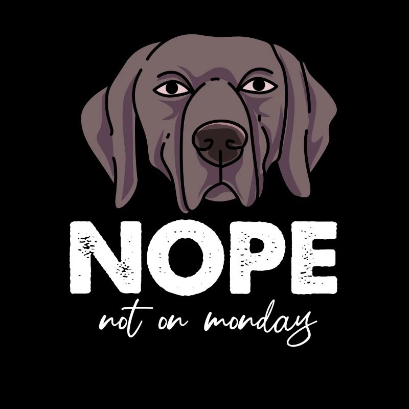 Weimaraner