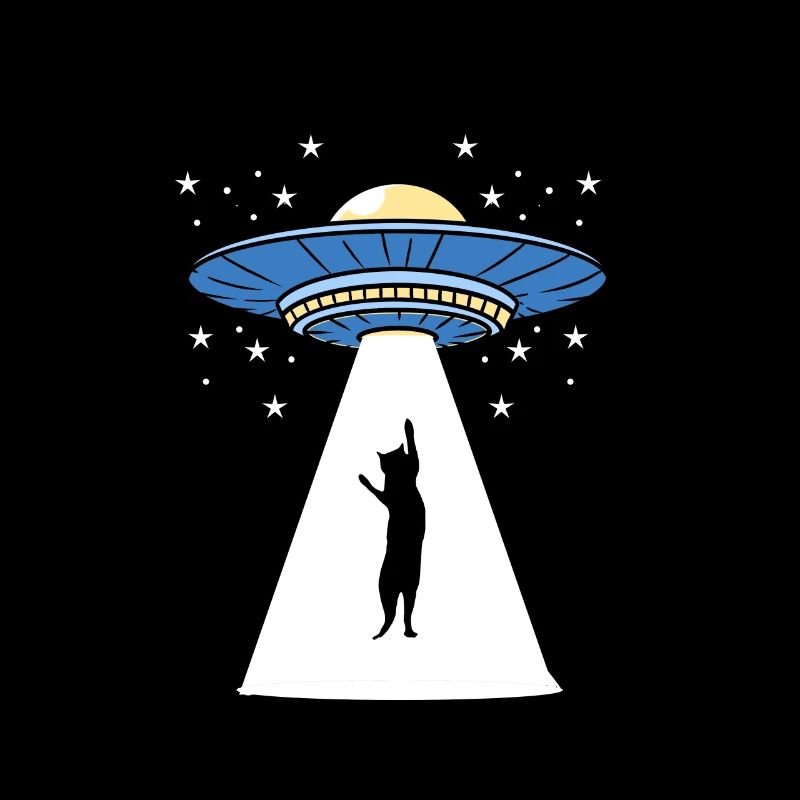 Chats extraterrestres UFO