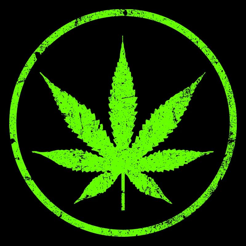 Le cannabis