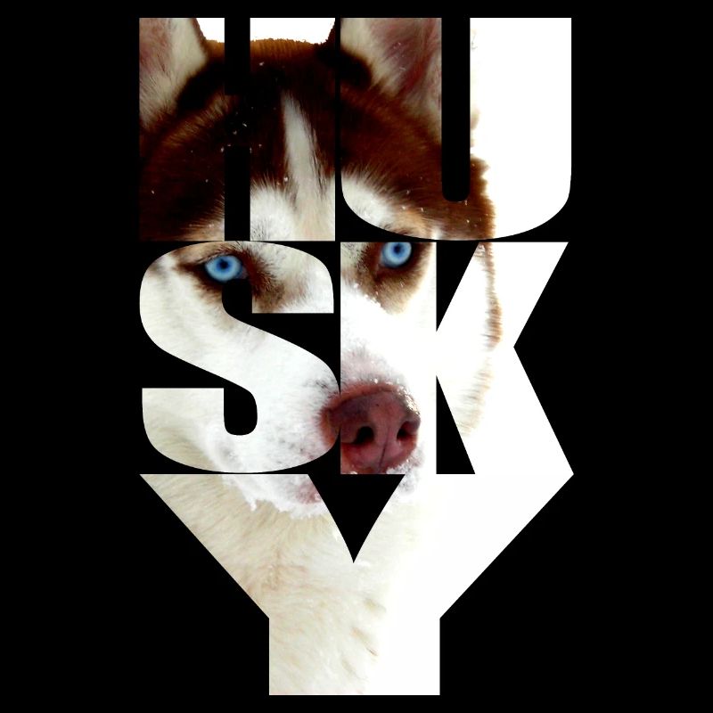 Husky cuivre tête rouge dans le texte