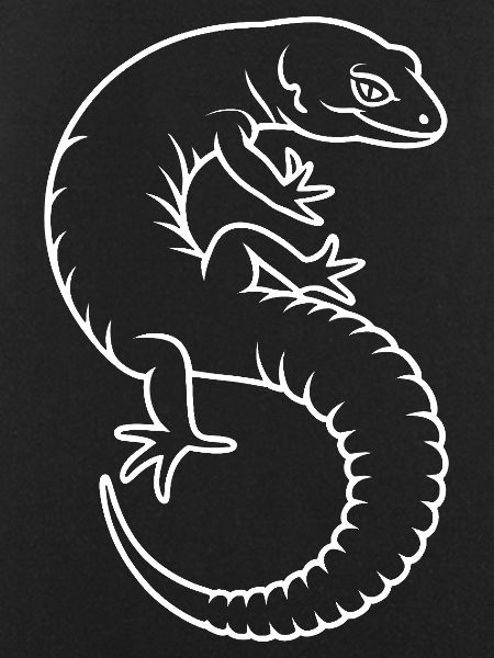 Gecko Silhouette Kontrast