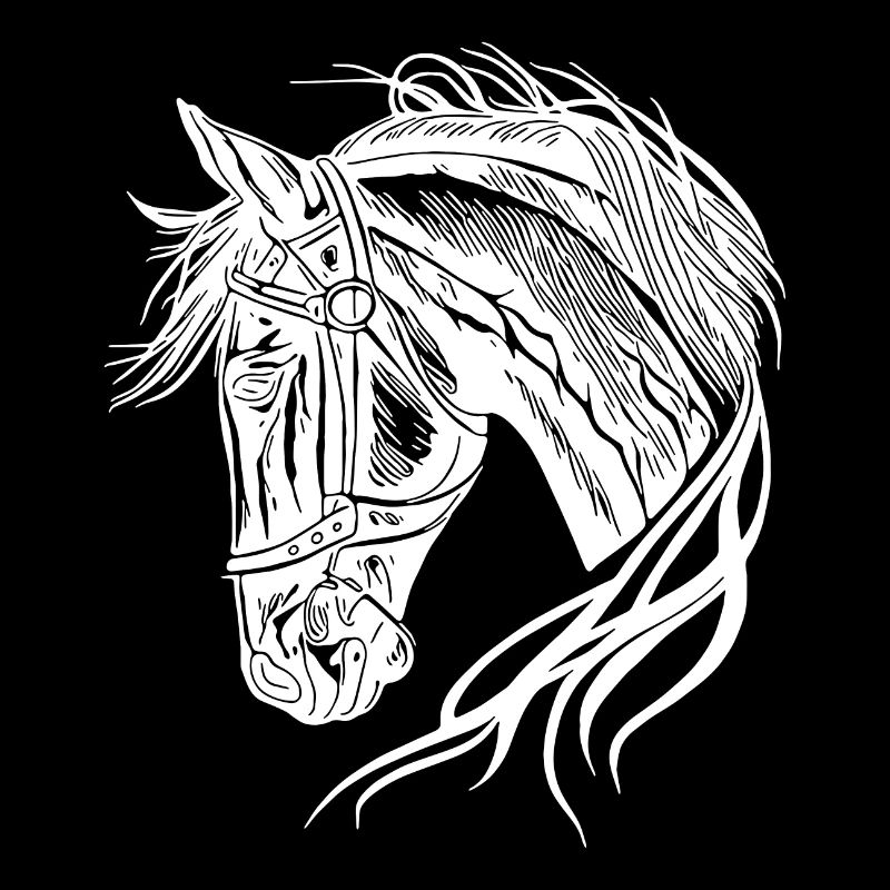 Beautiful stallion with elegant waving mane
